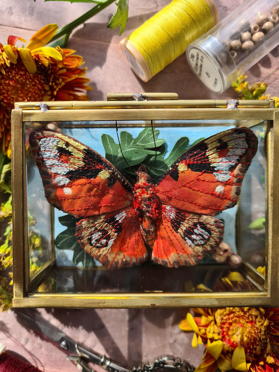 Thumbnail: Spectacular Peacock