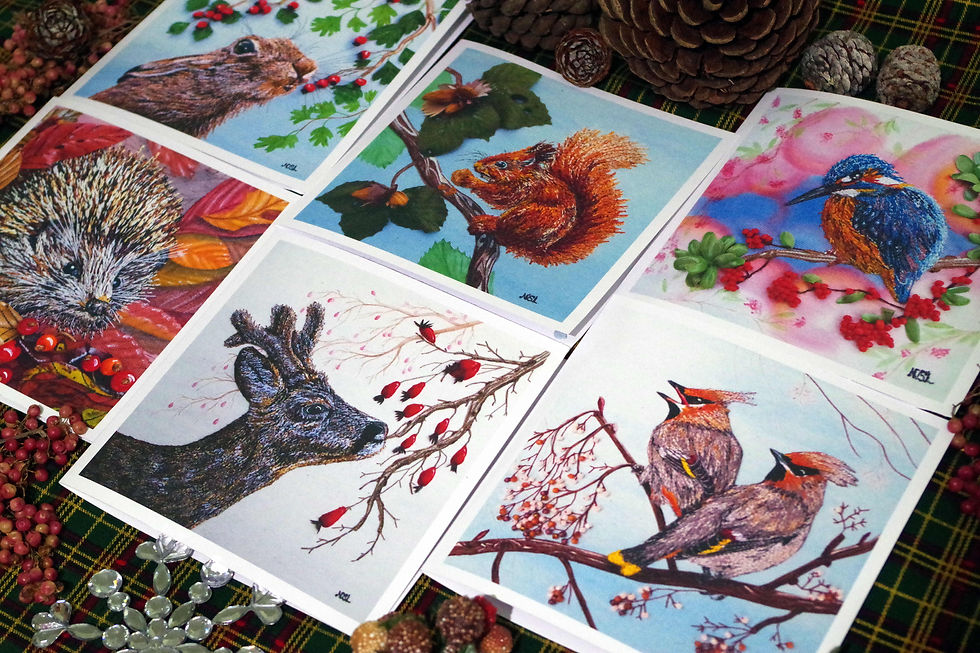 Thumbnail: Pack of 6 Mixed Christmas Cards