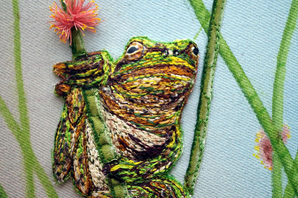 Thumbnail: A Frogs Pilgrim