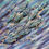 Thumbnail: Sardine Shoal