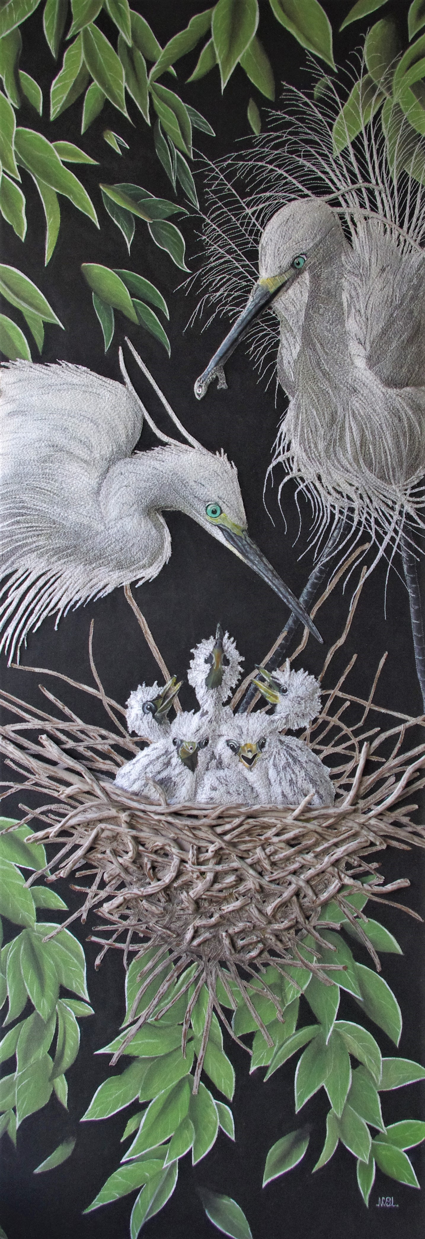 Hungry Little Egrets SOLD