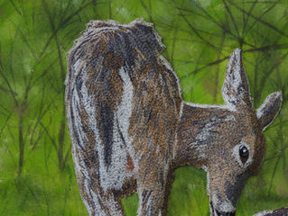 Mother Deer