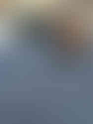 Roof-Ex Owner and Contractor Jules Chabot inspecting roof for damage in Edmonton