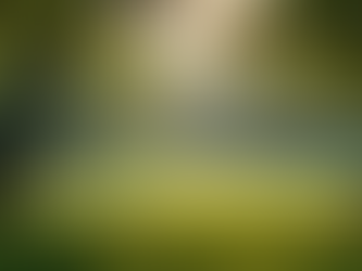 How to Find Inspiration for Your Writing Projects