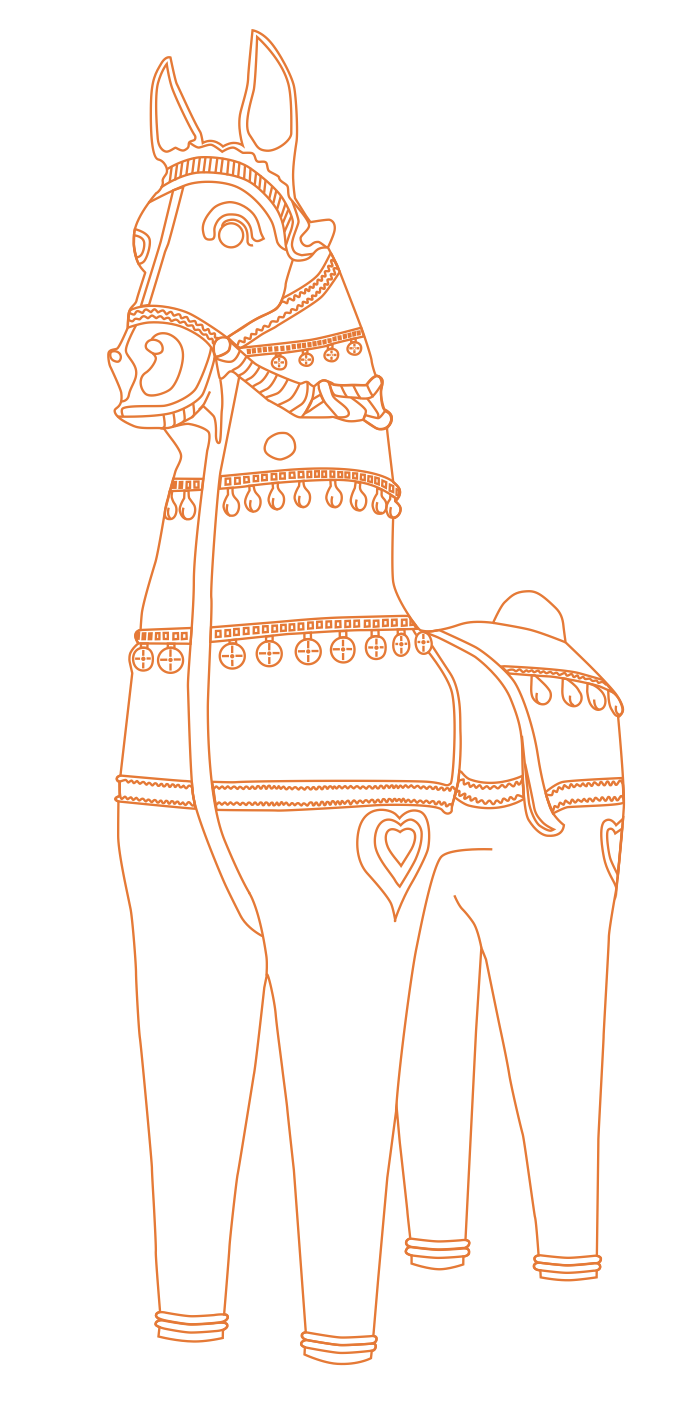 Horses of India