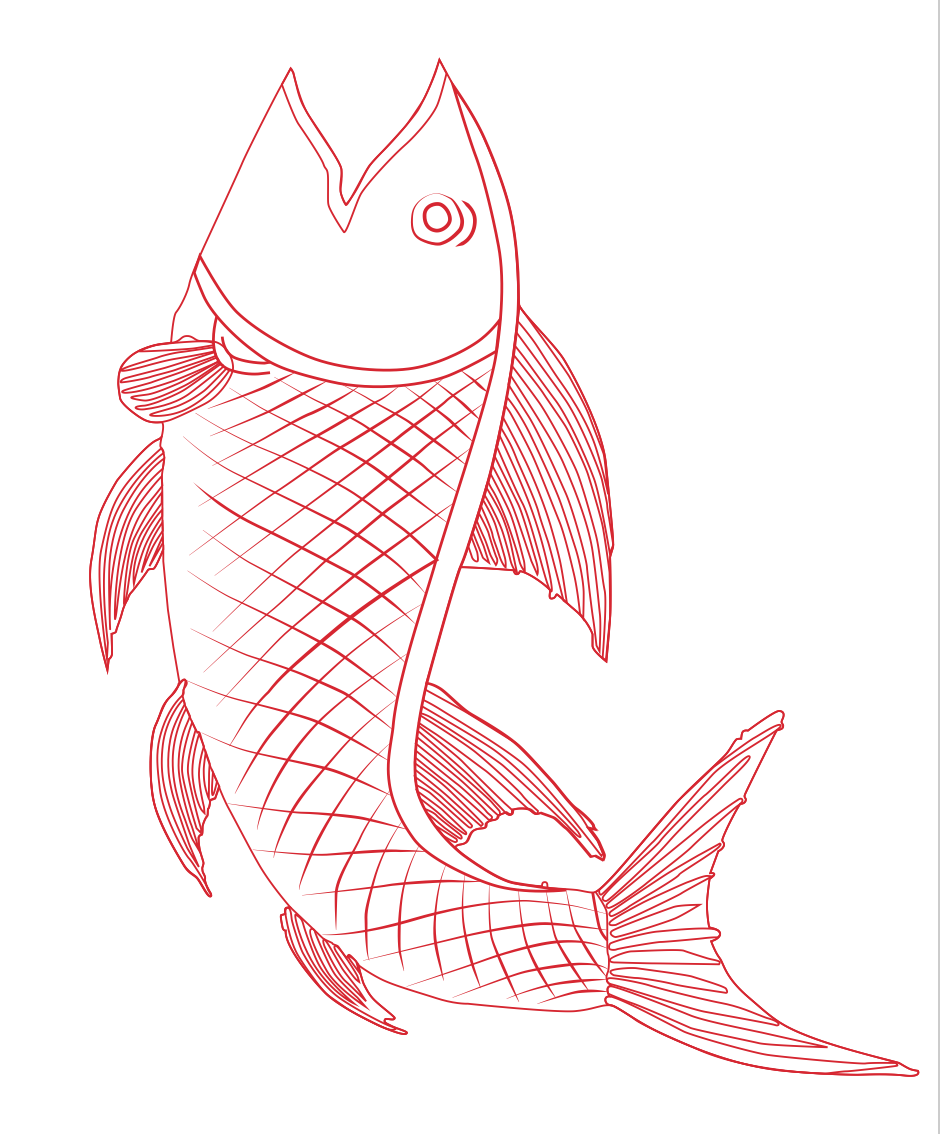 Fish of India