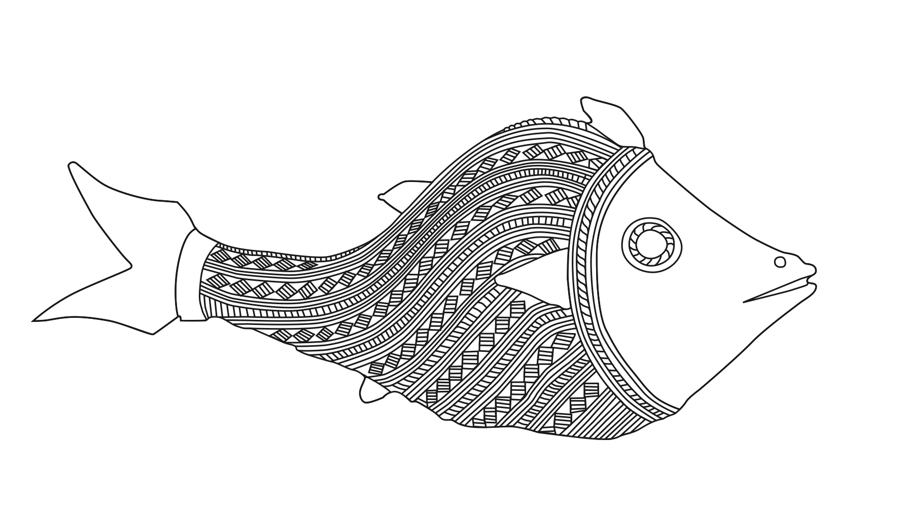 Fish of India