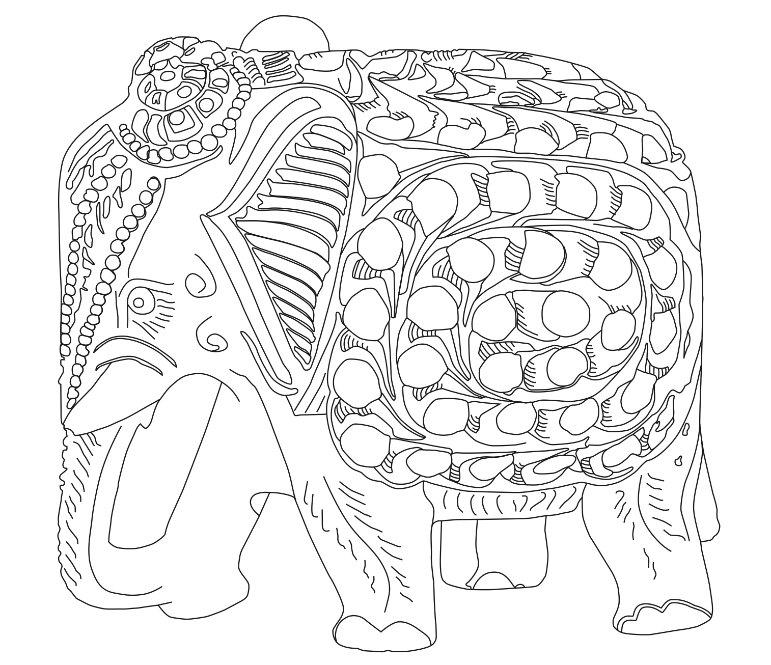 Elephants of India