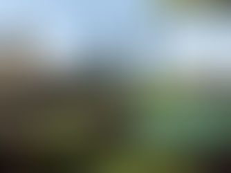 The Great Wall (Part I): A Confluence of the Old and the New