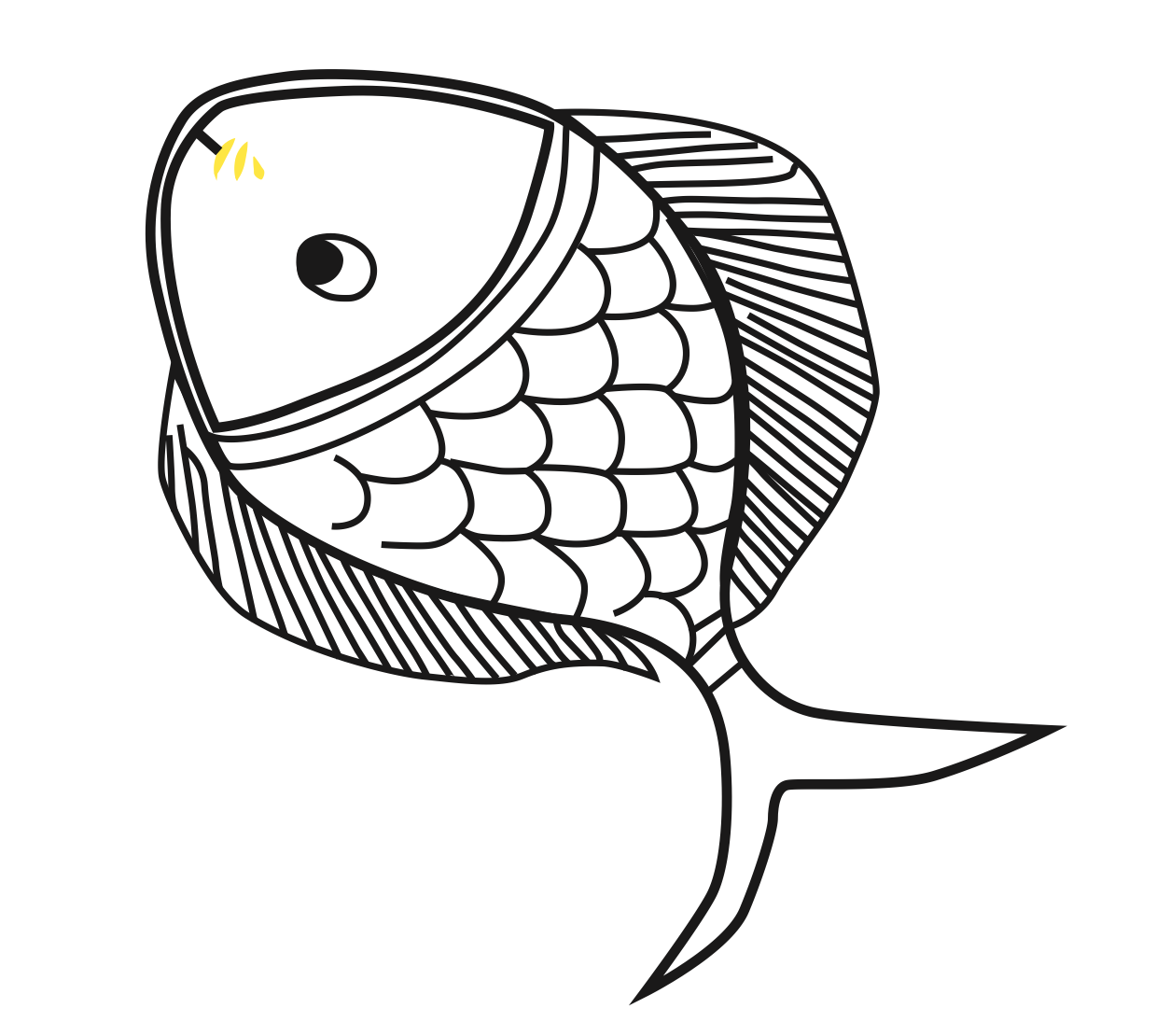 Fish of India