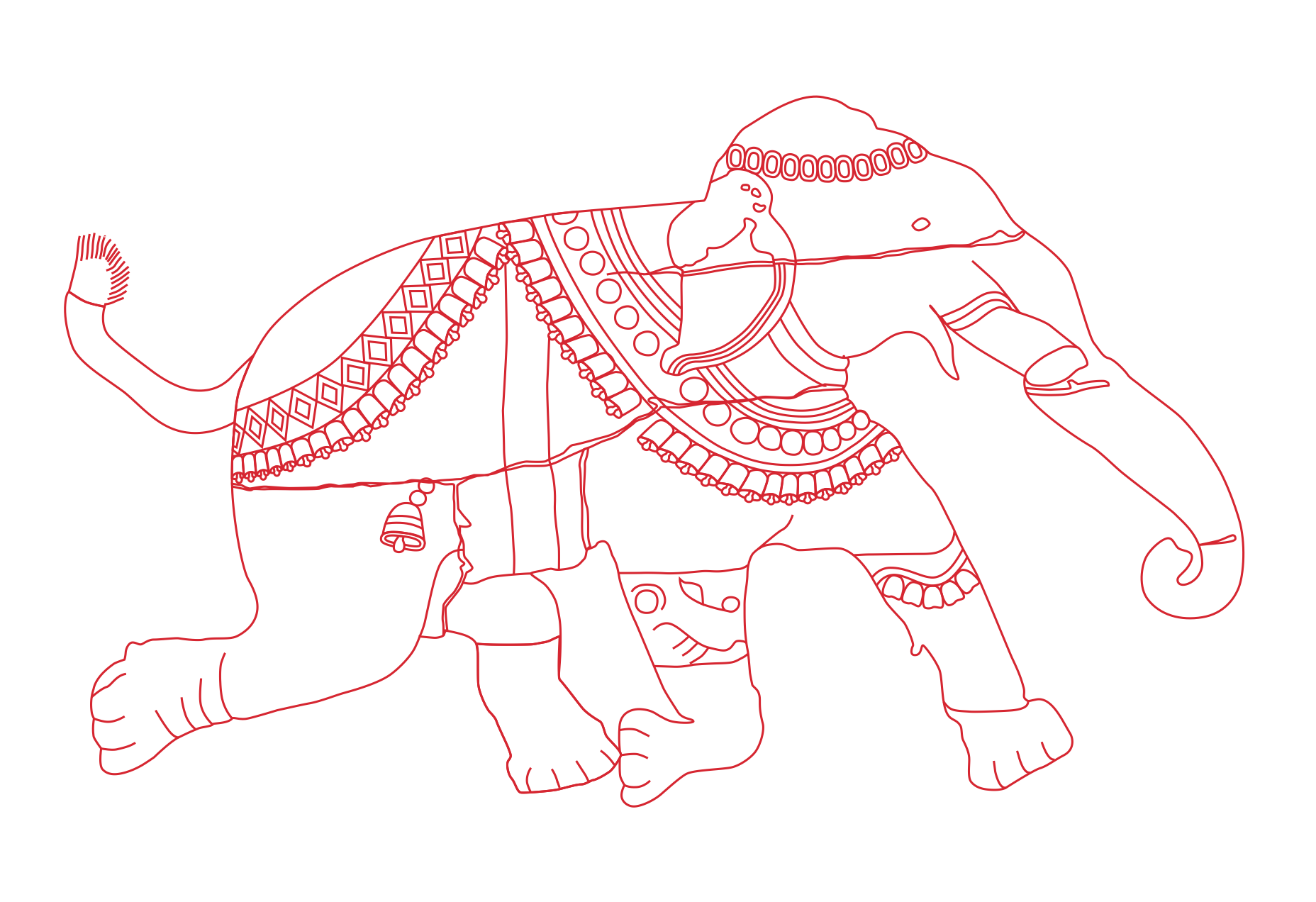 Elephants of India