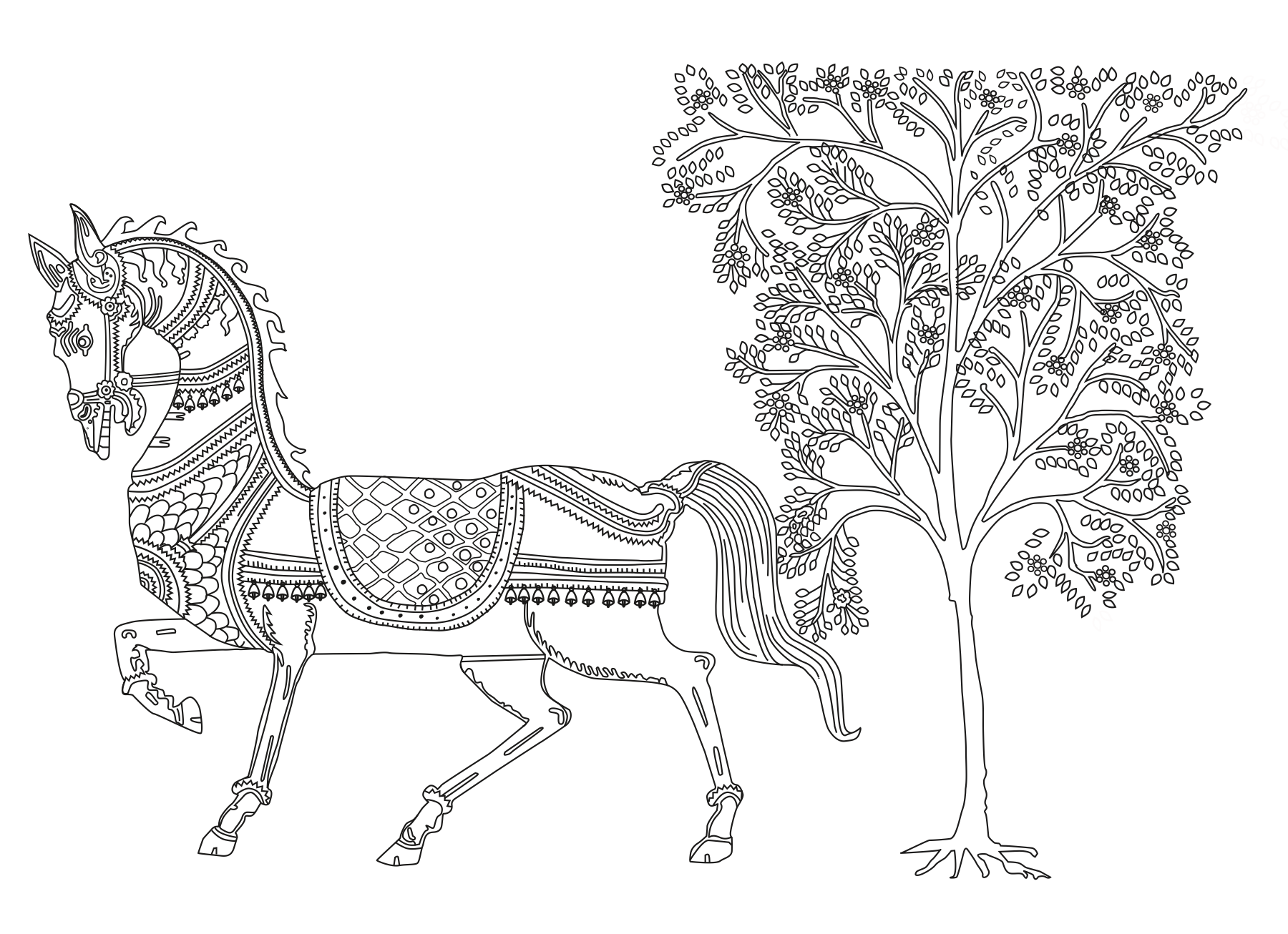 Horses of India