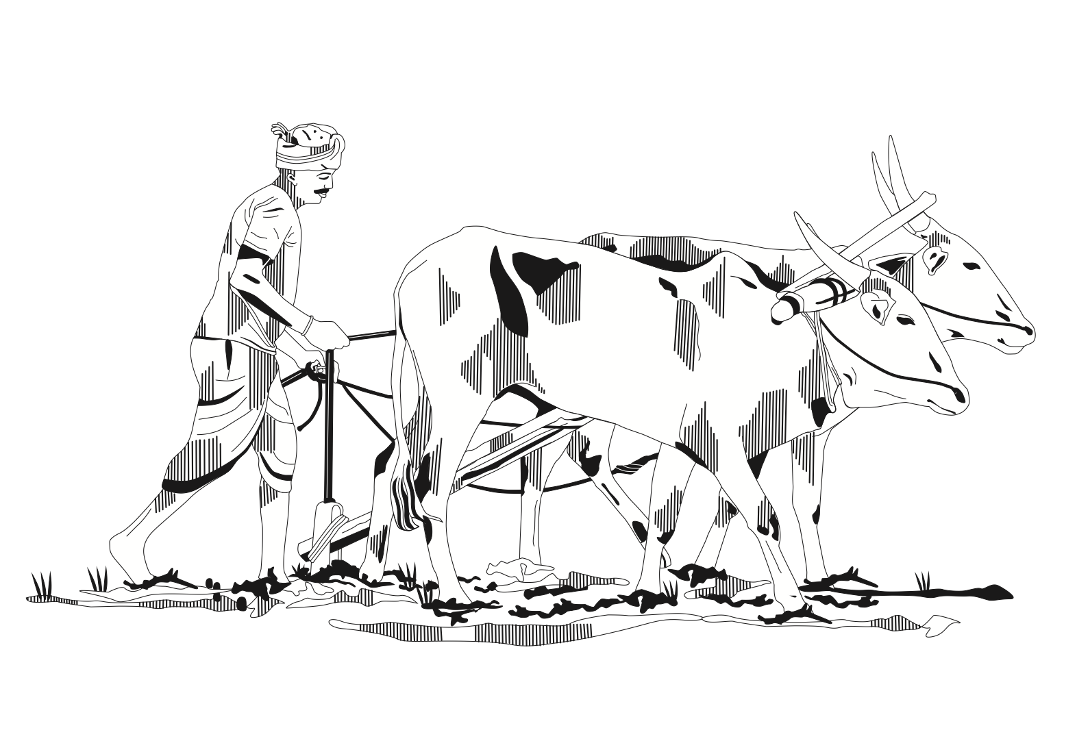Objects of India