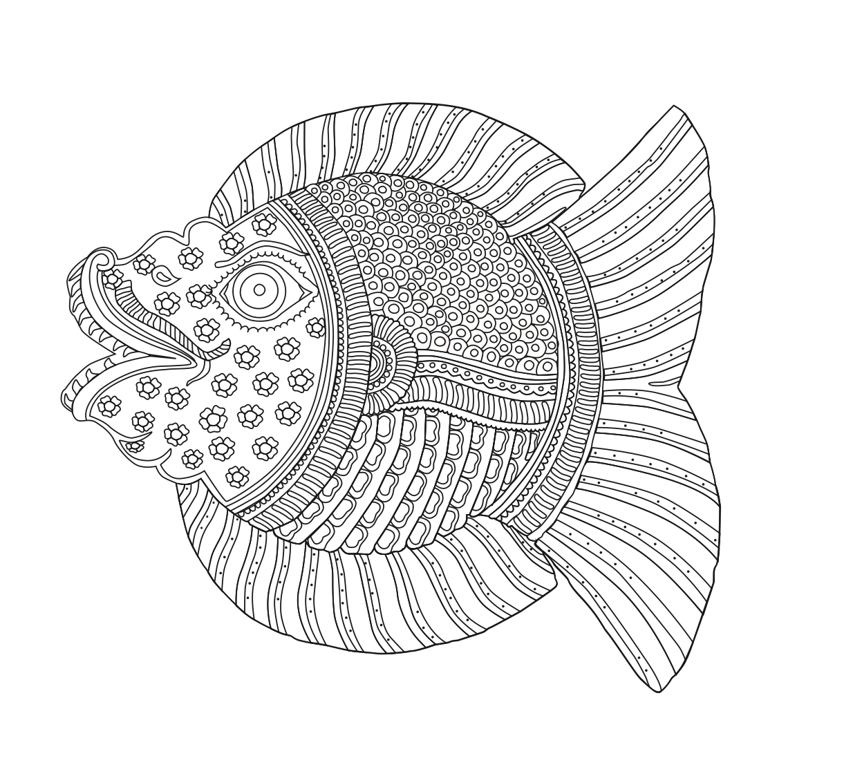 Fish of India