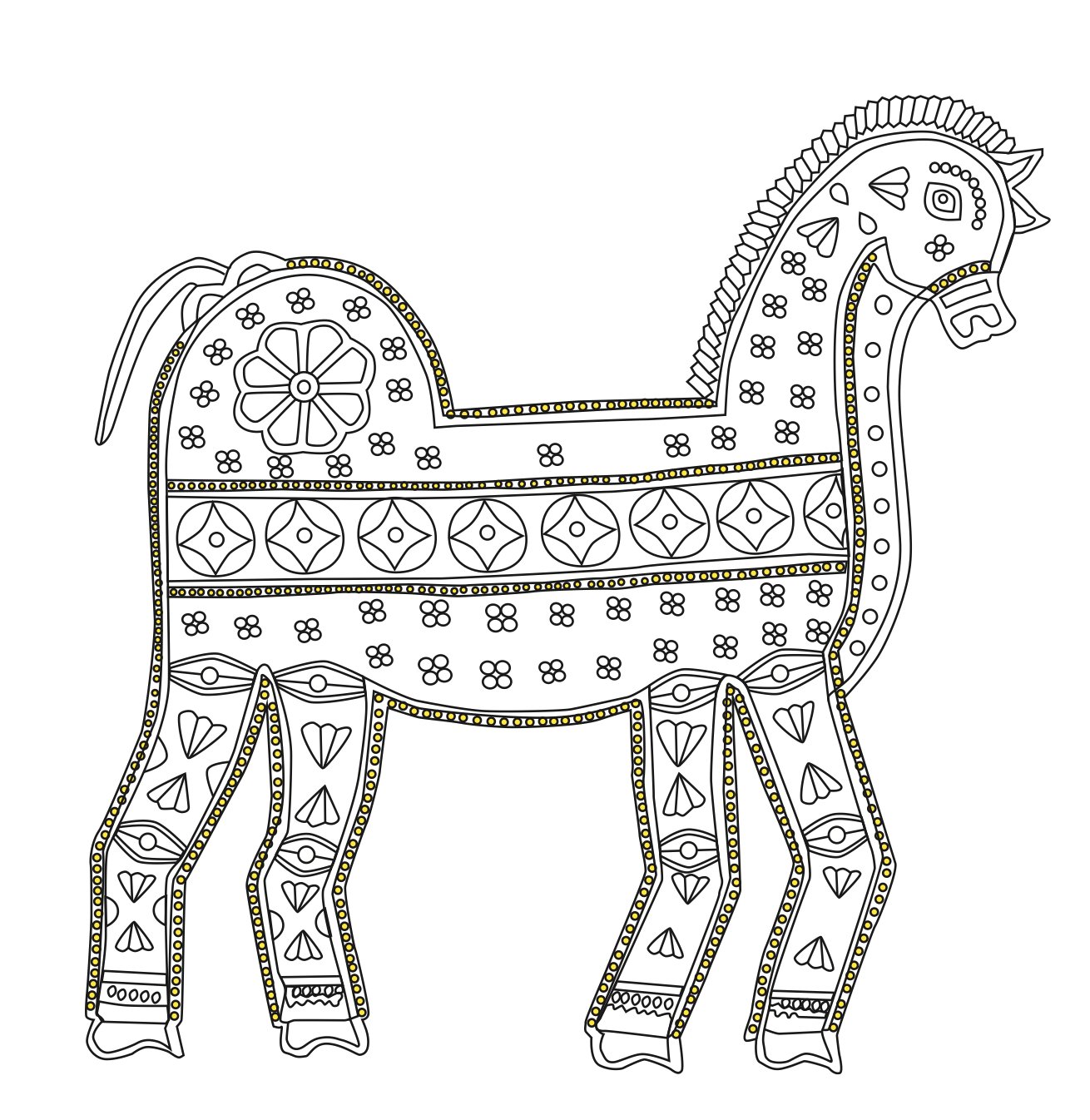 Horses of India