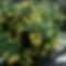 210427_enjyu_004 2.jpg