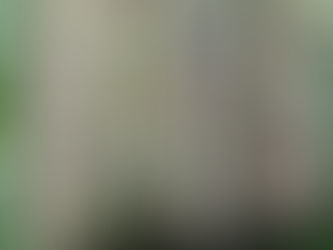 Benefícios do Incenso Natural: Acalme Sua Mente