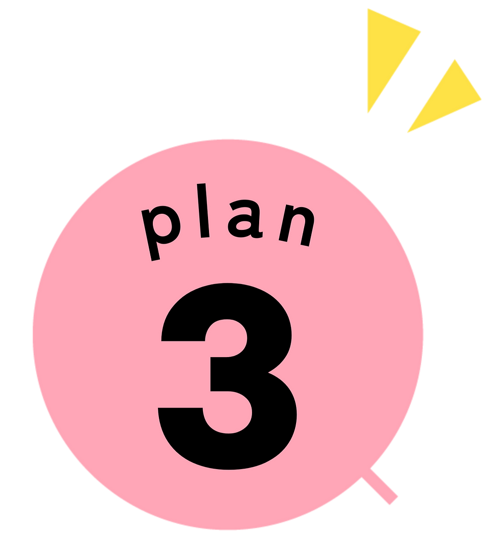 plan3