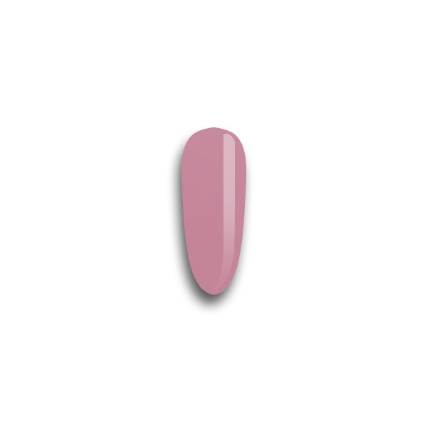 Miniatura: Semipermanenti Rosa Estate