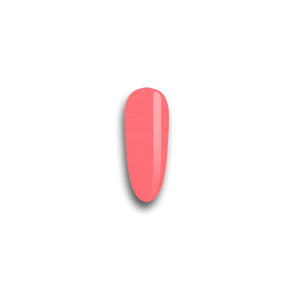 Miniatura: Semipermanenti Rosa
