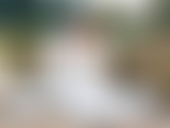 INTRODUCING The Heritage Collection by Dando London