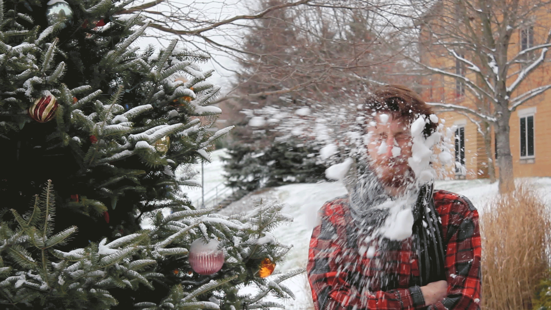 Snowball-cinemagraph