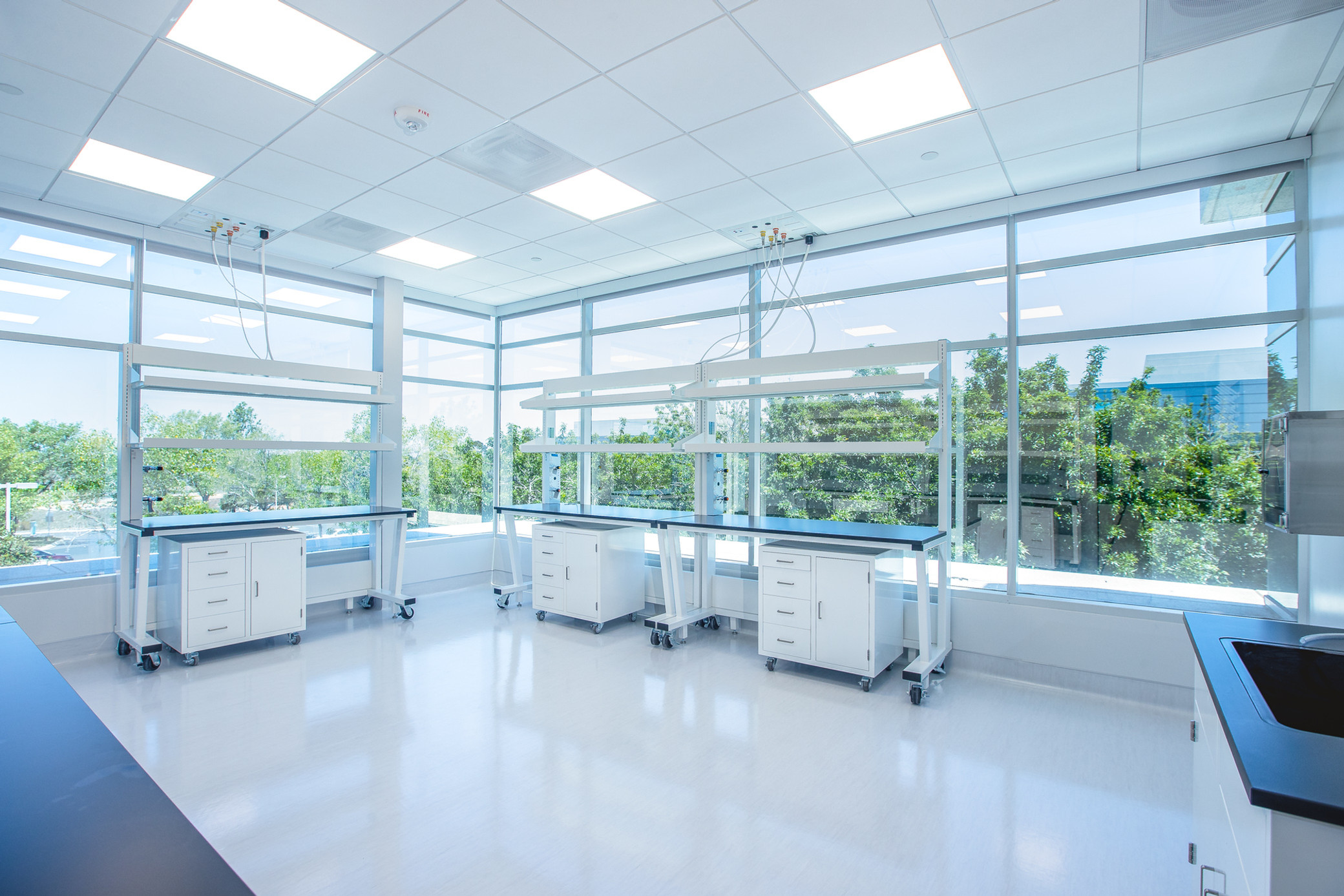 Lab and T.I. Project_Life Science Construction Projects MAI Construction