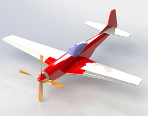 P51 a.jpg