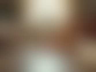 Creating a Safe and Comfortable Space for Your Pets