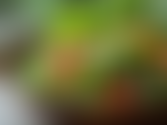 Fresh Organic Salads: The Best in Ranchi