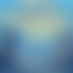 Paradoks Bursa Karbon Indonesia