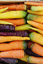 The yellow carrot of Polignano is a typical Apulian variety, prized for its sweet and crunchy flavour.