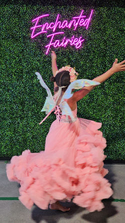 enchanted 2
