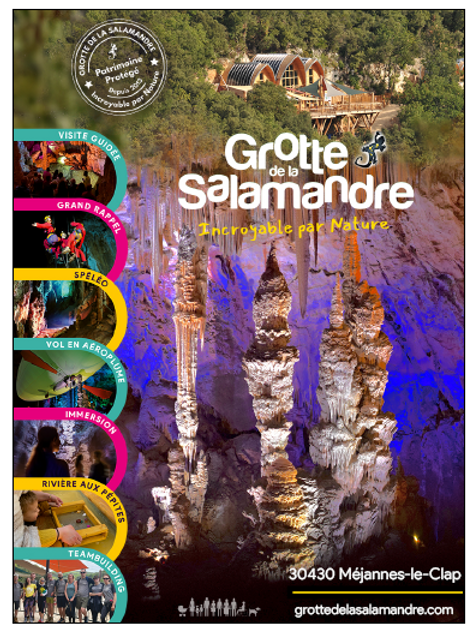 12 - salamandre.png