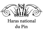 12 - Pin logo.png