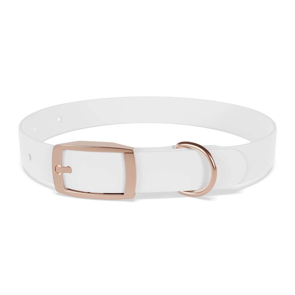Dohnut Farms Dog Collar