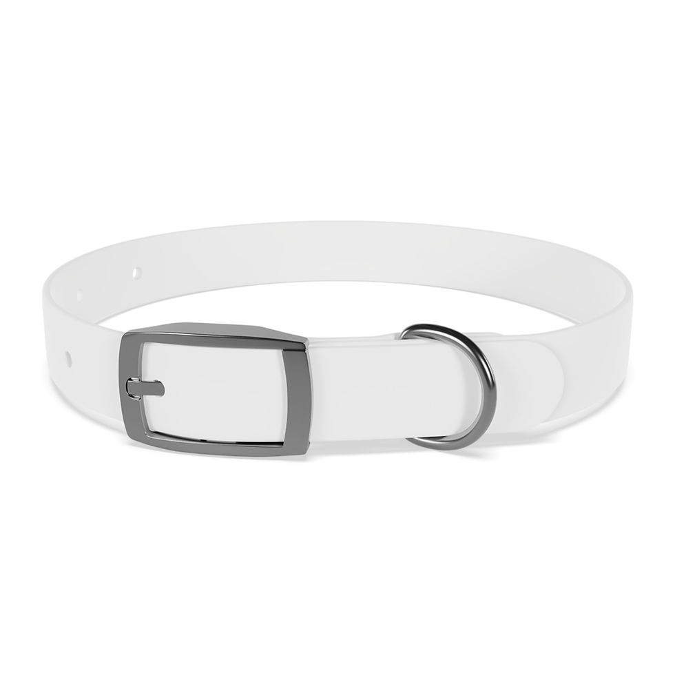 Dohnut Farms Dog Collar