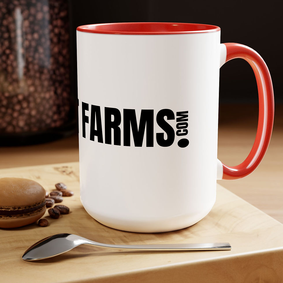 Dohnut Farms Two-Tone Coffee Mugs, 15oz