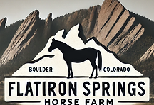 logo.png
