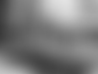 Bavel Onderneemt 't: bijna 50 jaar jong in het belang van Bavel