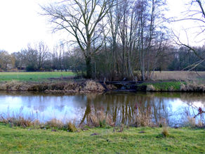 De Bavelse Leij: een beek met karakter