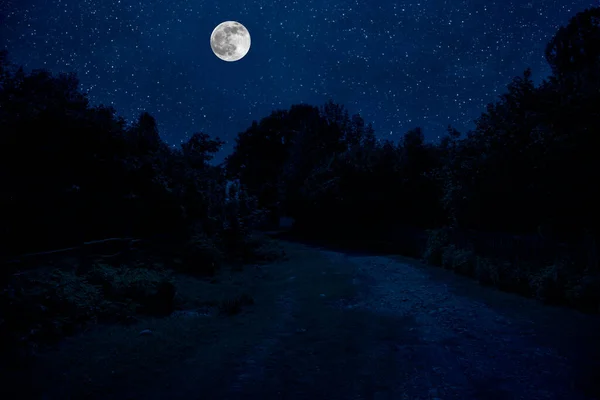 depositphotos_441627654-stock-photo-mystical-landscape-full-moon-rising.webp