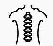 Screenshot 2023-11-27 at 09-49-01 Spinal Column free icon designed by surang.png
