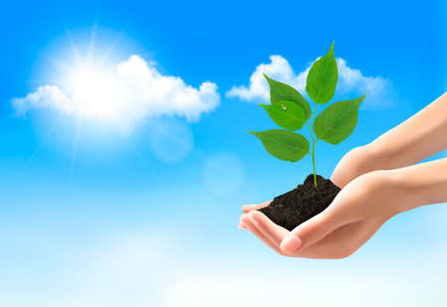 29859691-hands-holding-a-young-plant-vec