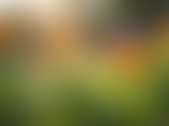 Empowering Communities: Resources for Trauma Recovery