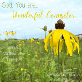 JNW Counselor.jpeg