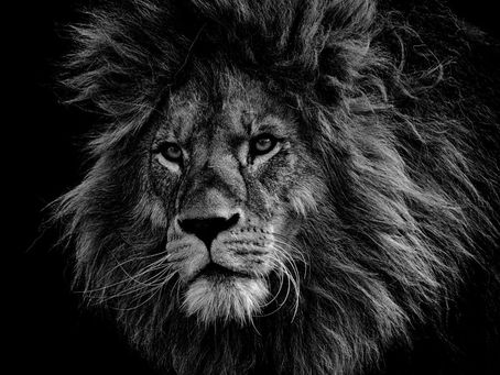 Saiba como declarar compra e venda de seu imóvel no Imposto de Renda 2023