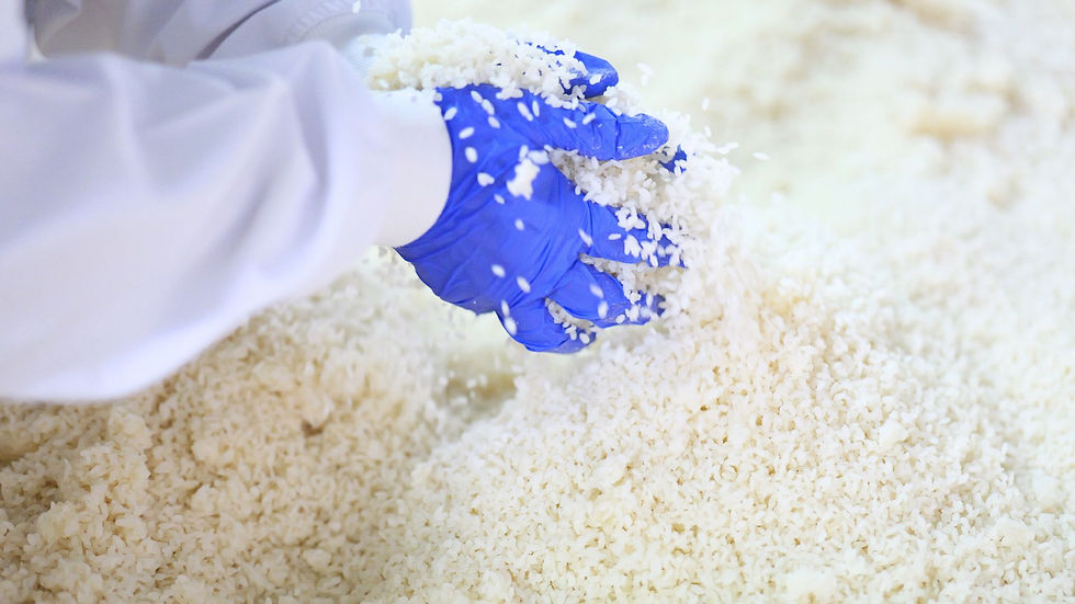 麹の製造の様子