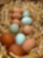 unnamed (1).jpeg