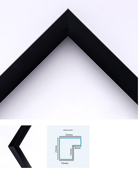 ECO FRAME MX 16.jpg
